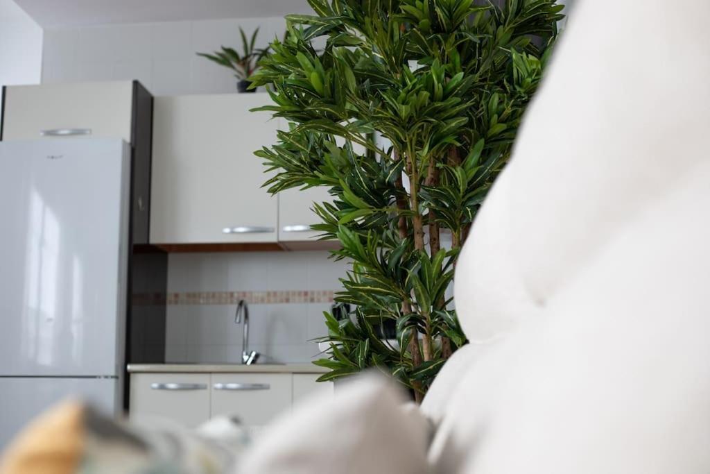 Trinidad Aparment Apartman Málaga Kültér fotó
